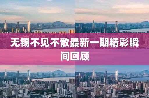 无锡不见不散最新一期精彩瞬间回顾