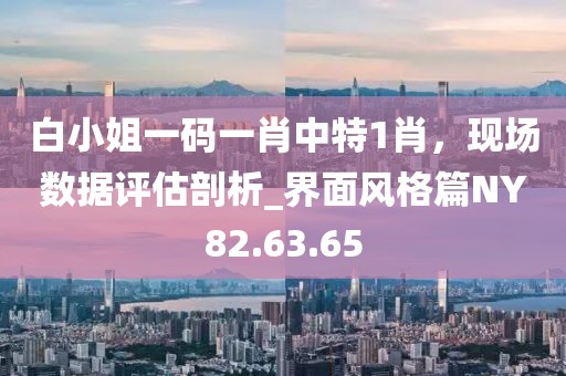 白小姐一码一肖中特1肖，现场数据评估剖析_界面风格篇NY82.63.65