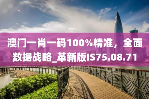 澳门一肖一码100%精准，全面数据战略_革新版IS75.08.71