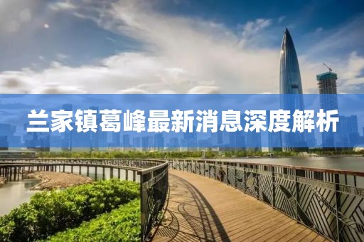 兰家镇葛峰最新消息深度解析