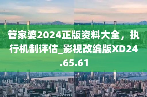 管家婆2024正版资料大全，执行机制评估_影视改编版XD24.65.61