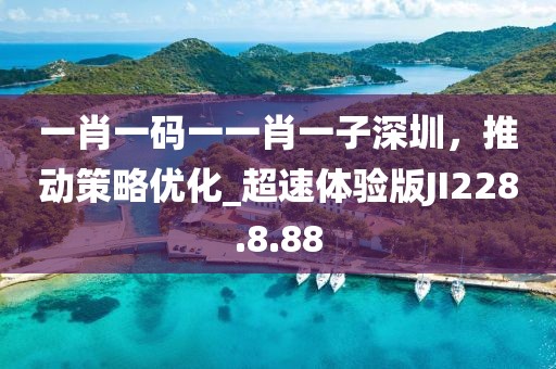 一肖一码一一肖一子深圳，推动策略优化_超速体验版JI228.8.88