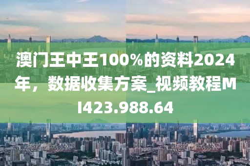 澳门王中王100%的资料2024年，数据收集方案_视频教程MI423.988.64