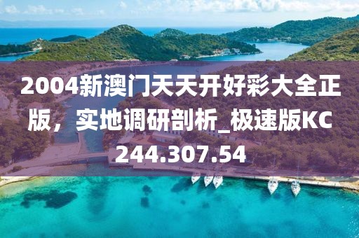 2004新澳门天天开好彩大全正版，实地调研剖析_极速版KC244.307.54