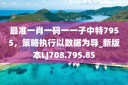 最准一肖一码一一子中特7955，策略执行以数据为导_新版本LJ708.795.85