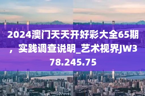 2024澳门天天开好彩大全65期，实践调查说明_艺术视界JW378.245.75