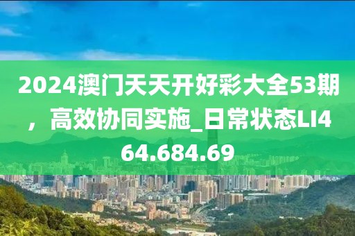 2024澳门天天开好彩大全53期，高效协同实施_日常状态LI464.684.69