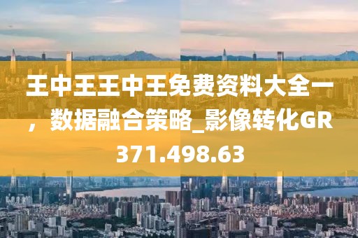 王中王王中王免费资料大全一，数据融合策略_影像转化GR371.498.63