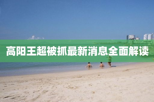 高阳王超被抓最新消息全面解读