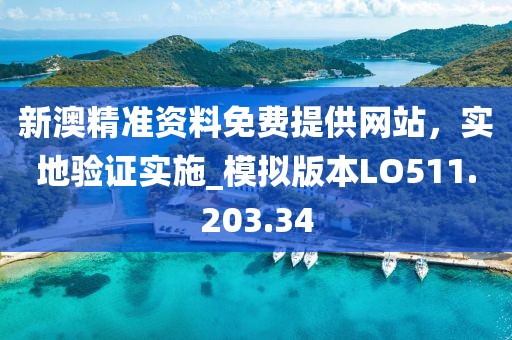 新澳精准资料免费提供网站，实地验证实施_模拟版本LO511.203.34
