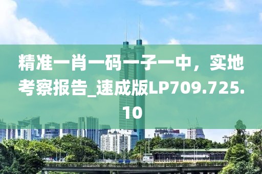 精准一肖一码一子一中，实地考察报告_速成版LP709.725.10