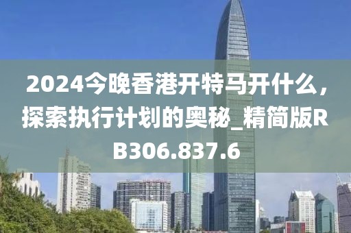 2024今晚香港开特马开什么，探索执行计划的奥秘_精简版RB306.837.6