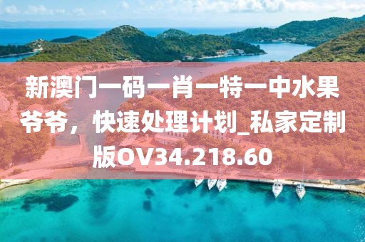 新澳门一码一肖一特一中水果爷爷，快速处理计划_私家定制版OV34.218.60