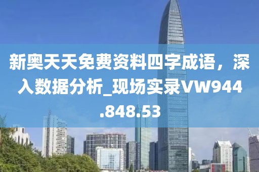 新奥天天免费资料四字成语，深入数据分析_现场实录VW944.848.53