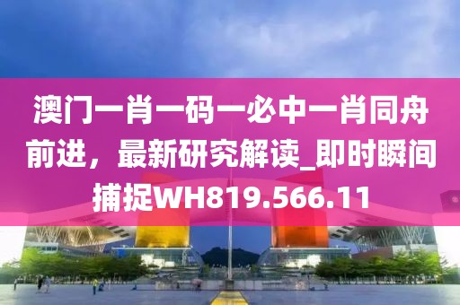 澳门一肖一码一必中一肖同舟前进，最新研究解读_即时瞬间捕捉WH819.566.11