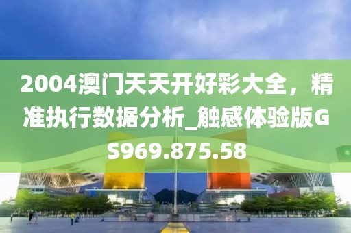 2004澳门天天开好彩大全，精准执行数据分析_触感体验版GS969.875.58