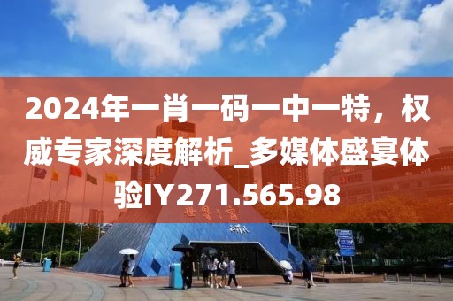 2024年一肖一码一中一特，权威专家深度解析_多媒体盛宴体验IY271.565.98