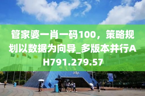 管家婆一肖一码100，策略规划以数据为向导_多版本并行AH791.279.57