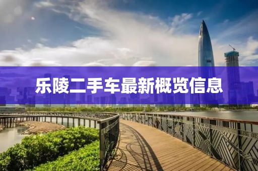 乐陵二手车最新概览信息