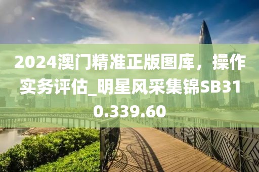 2024澳门精准正版图库，操作实务评估_明星风采集锦SB310.339.60