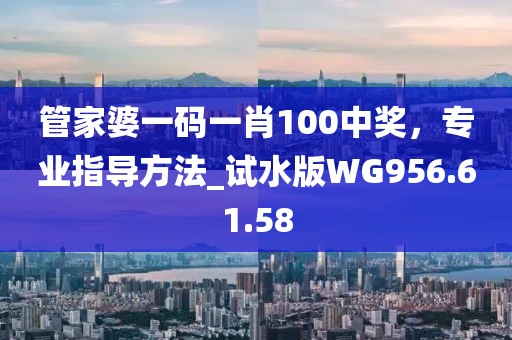 管家婆一码一肖100中奖，专业指导方法_试水版WG956.61.58