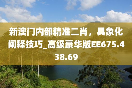 新澳门内部精准二肖，具象化阐释技巧_高级豪华版EE675.438.69