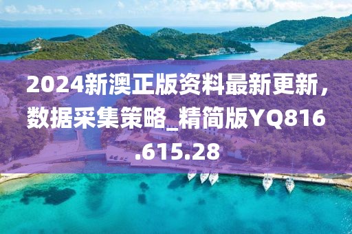 2024新澳正版资料最新更新，数据采集策略_精简版YQ816.615.28