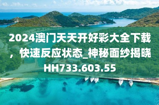 2024澳门天天开好彩大全下载，快速反应状态_神秘面纱揭晓HH733.603.55