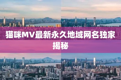 猫咪MV最新永久地域网名独家揭秘