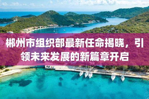 郴州市组织部最新任命揭晓，引领未来发展的新篇章开启