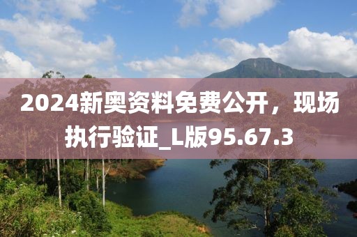 2024新奥资料免费公开，现场执行验证_L版95.67.3