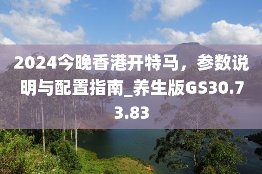 2024今晚香港开特马，参数说明与配置指南_养生版GS30.73.83