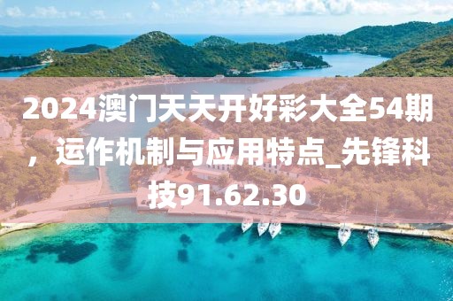 2024澳门天天开好彩大全54期，运作机制与应用特点_先锋科技91.62.30