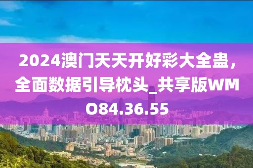 2024澳门天天开好彩大全蛊，全面数据引导枕头_共享版WMO84.36.55