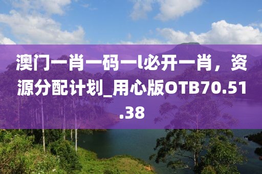 澳门一肖一码一l必开一肖，资源分配计划_用心版OTB70.51.38
