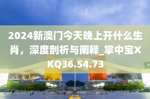 2024新澳门今天晚上开什么生肖，深度剖析与阐释_掌中宝XKQ36.54.73