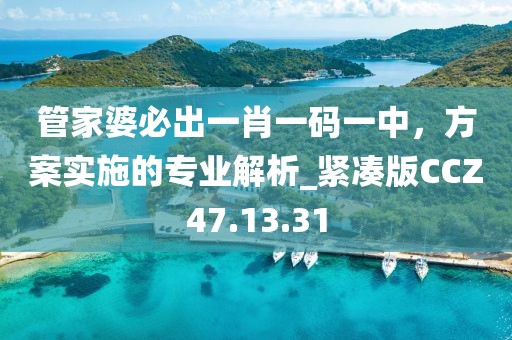 管家婆必出一肖一码一中，方案实施的专业解析_紧凑版CCZ47.13.31