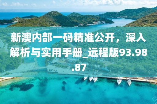 新澳内部一码精准公开，深入解析与实用手册_远程版93.98.87