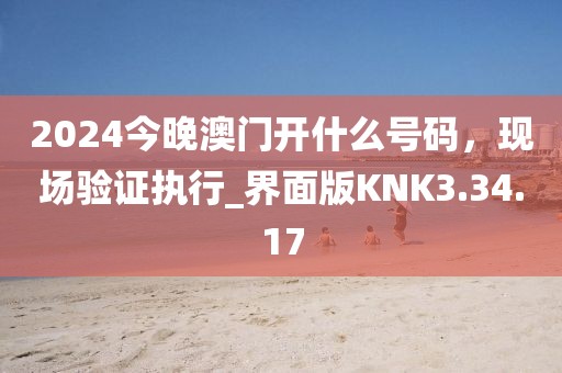 2024今晚澳门开什么号码，现场验证执行_界面版KNK3.34.17