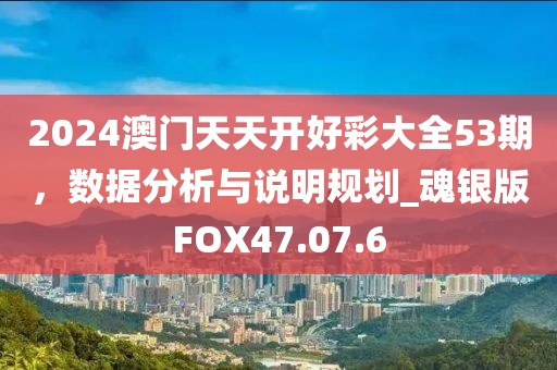 2024澳门天天开好彩大全53期，数据分析与说明规划_魂银版FOX47.07.6