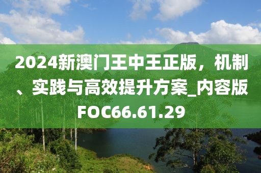 2024新澳门王中王正版，机制、实践与高效提升方案_内容版FOC66.61.29