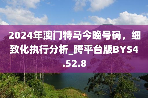 2024年澳门特马今晚号码，细致化执行分析_跨平台版BYS4.52.8