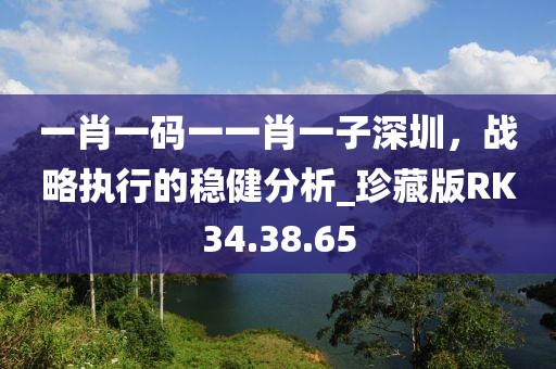 一肖一码一一肖一子深圳，战略执行的稳健分析_珍藏版RK34.38.65