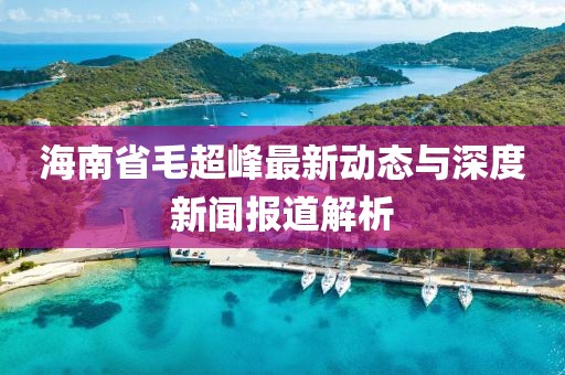 海南省毛超峰最新动态与深度新闻报道解析