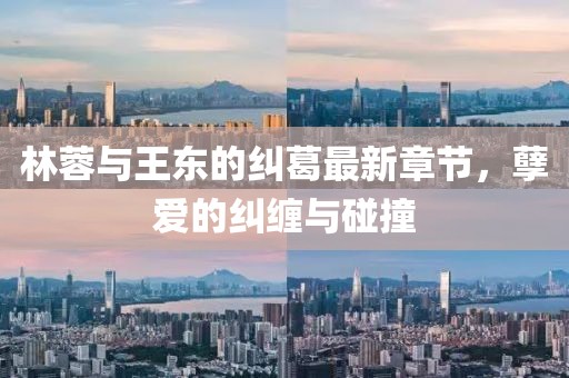 林蓉与王东的纠葛最新章节，孽爱的纠缠与碰撞