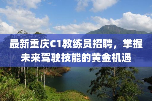 最新重庆C1教练员招聘，掌握未来驾驶技能的黄金机遇