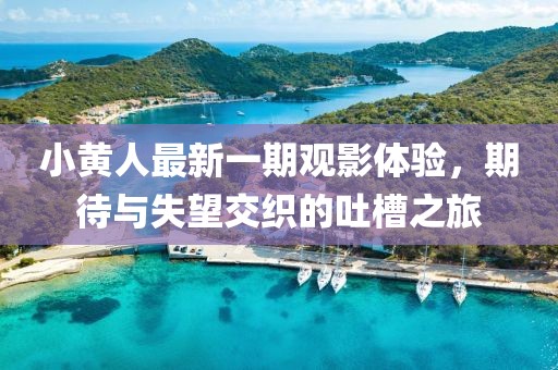 小黄人最新一期观影体验，期待与失望交织的吐槽之旅