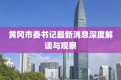 黄冈市委书记最新消息深度解读与观察