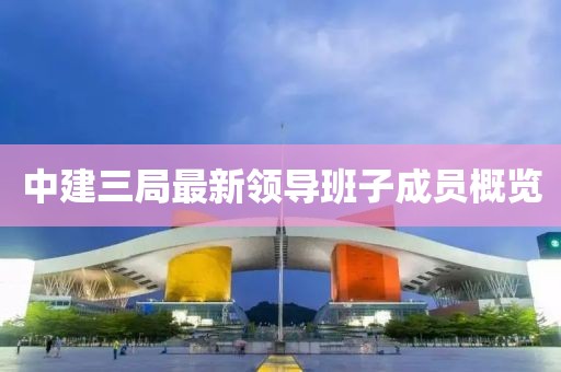 中建三局最新领导班子成员概览