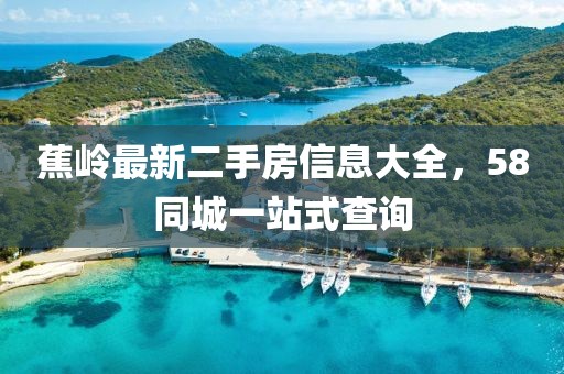 白羽 第17页